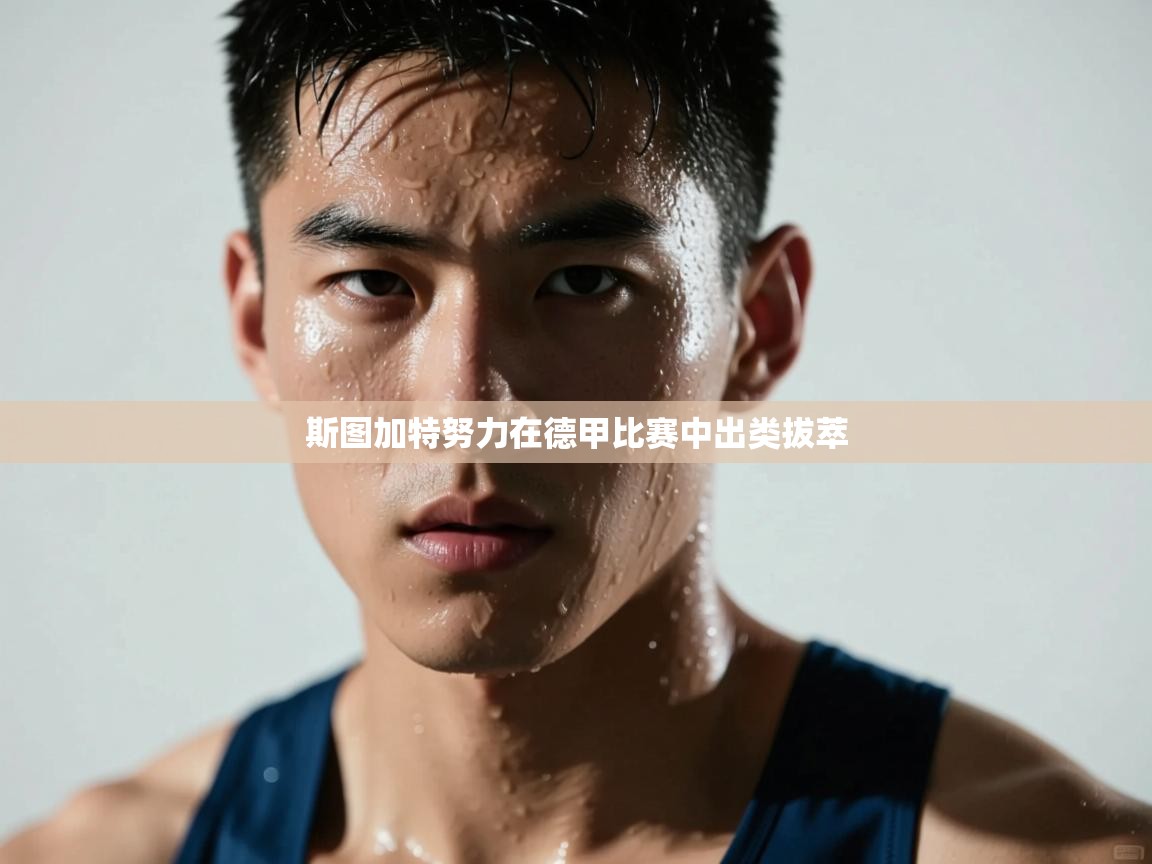 斯图加特努力在德甲比赛中出类拔萃  第1张