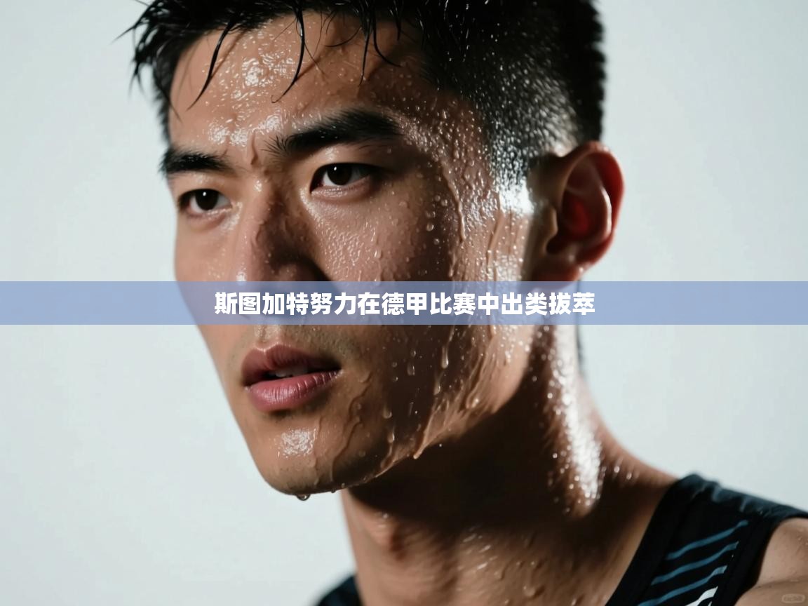 斯图加特努力在德甲比赛中出类拔萃  第2张