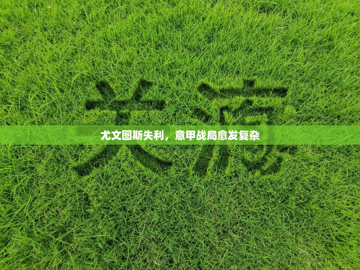 尤文图斯失利,意甲战局愈发复杂 第2张