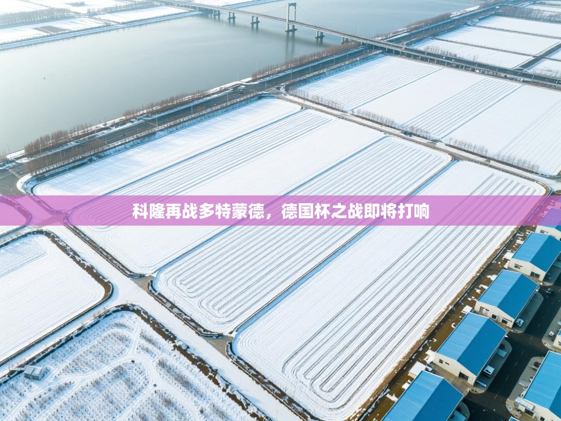 科隆再战多特蒙德,德国杯之战即将打响 第1张