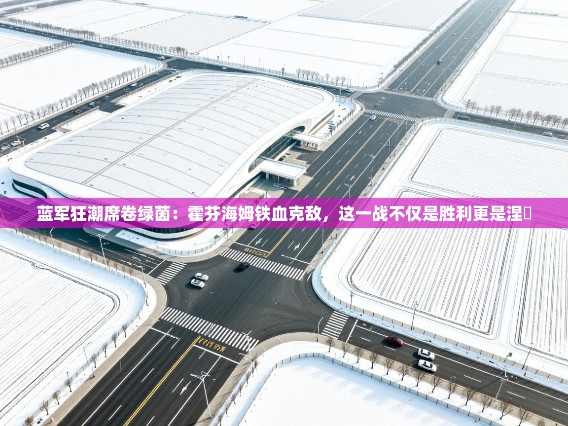 蓝军狂潮席卷绿茵：霍芬海姆铁血克敌，这一战不仅是胜利更是涅槃  第2张