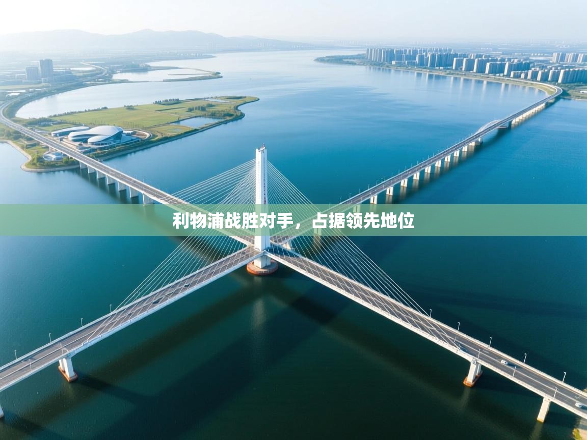 利物浦战胜对手,占据领先地位 第1张