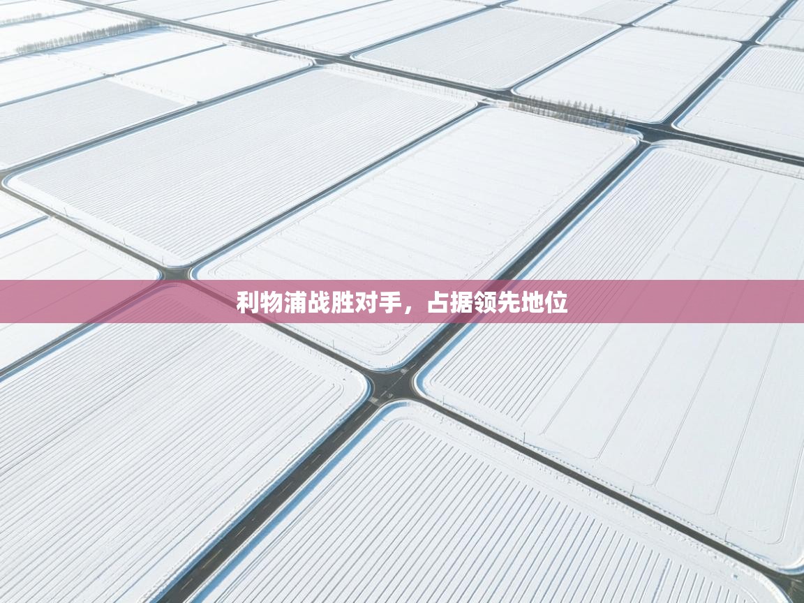 利物浦战胜对手,占据领先地位 第2张