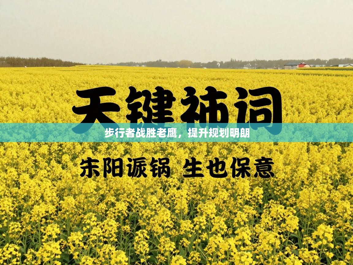 步行者战胜老鹰，提升规划明朗  第2张