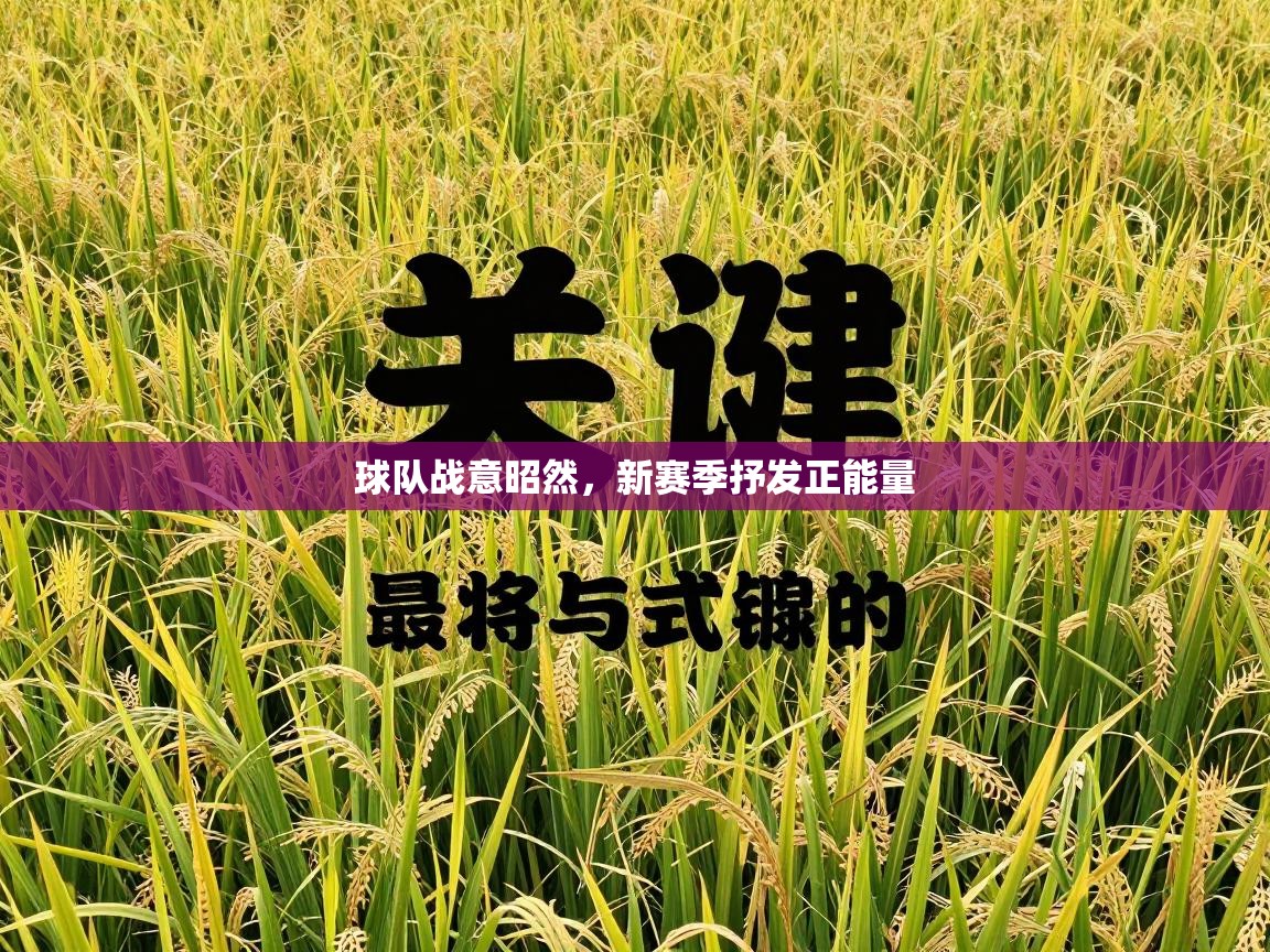 球队战意昭然，新赛季抒发正能量  第2张